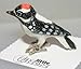WOODPECKER Downy Chick 