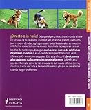 Image de Juegos de olfato y rastreo / Games of smell and tracking: Diversion para tu perro / Fun for Your Dog (Manuales mascotas en casa / Manuals Pets at Home