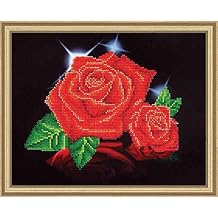 Amazon.ca: diamond dotz