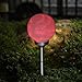 Maggift 8-Inch Multicolor Solar Garden Ball Lights Solar Lights Color Changing Globe Lights for Outdoor, Yard, Patio, Path, Landscape, Home, Automatically Rotate (2 Pack)