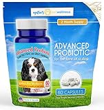 Advanced Probiotic 2 Month Supply - 15 Billion CFU's per Capsule Therapeutic High Dose - Build Immune Systems - Digestion - IBS - Allergies - Ear Problems - Tear Staining - Coat & Skin Problems
