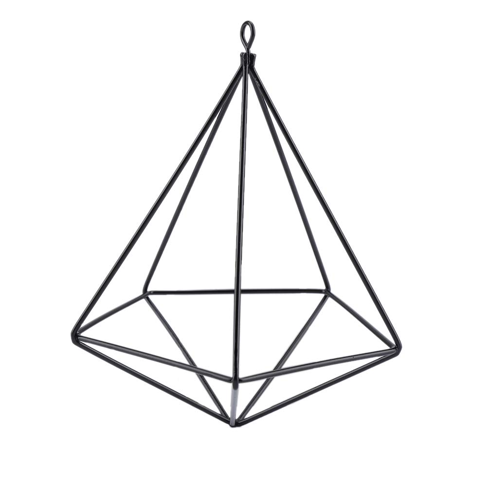 TOTITOM Hanging Air Plant Holder, Hanging Tillandsia Rack, Geometric Plant Stand, Flowser Hanger for Home Office Wall Decor Wedding Ornament (Black)