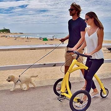 alinker walking bike cost