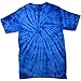 Colortone Youth & Adult Spider Tie Dye T-Shirt