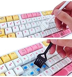 POPKEEY Keycap and Switch Puller Key Cap Removal