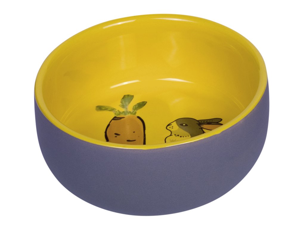 Nobby Carrot Plus Rodent Ceramic Bowl Grey/Yellow Diameter 11 cm x 4.5 cm
