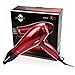 JINRI Professional Household Negative Ionic Hair Dryer 1875W DC Motor Blow Dryer 2 Speeds 3 Heat Settings Cold Shot Button with Styling Concentrator Nozzle(Red)