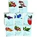 Plant Theatre Hot Chilli & Sweet Pepper Kit - 6 Different Varieties to Grow - Fantastic Gift