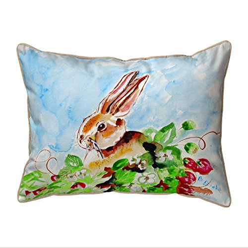 Betsy Drake Polyester Throw Pillows Jack Rabbit Left Indoor/Outdoor Extra Large Pillow 20X24 24 X 6 X 20 Inches Multicolored