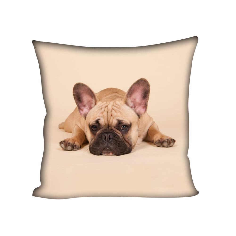 Showudesigns Brown Cushion Covers 18x18 Cute French Bulldog Square Throw Covers for Living Room, Bedroom, Sofa, Couch, Bed, Bench — image 1