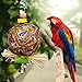 Myguru Bird Toys, Bird Chewing Bite Parrot Cage Toy for Small African Grey Macaws Cockatoos