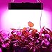 LED Grow Light, MAYGROW 1000W Triple Chips Full Spectrum LED Grow Lamp with UV&IR and Double Cooling Fans for All Growing Phases of Indoor Veg and Flower(100PCs 10W LEDs)