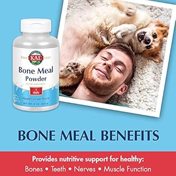 dr pitcairn dog diet