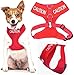 Caution Red Color Coded Waterproof Padded Adjustable Non Pull Front and Back Ring Alert Warning Small Vest Dog Harness Prevents Accidents By Warning Others of Your Dog in Advance