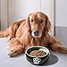 YHY Porcelain Dog Bowls for Food and Water, 55 oz Pet Feeder Bowl with Delicate Paw Printed, Suitable for Medium/Large Size Dog Dish, Muticolor