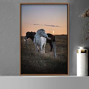 signwin Framed Canvas Wall Art Two Horses Animals...