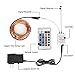 LED Copper Wire Lights 99ft/30m 300 LED Light String Dimmable with Remote Control Waterproof Starry Lights for DIY Bedroom Outdoor, Garden, Party, Wedding, Patio, Fairy Tale (Warm White)