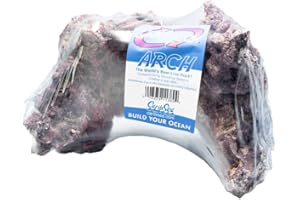 Carib Sea Life Rock Arch Medium
