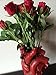 Anatomical Heart Vase, Red Finish