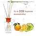binca vidou Reed Diffuser Orange and Lemon, 3.4 Fl.oz/100ml, Citrus Scented Reed Diffuser Set with 6 Natural Bamboo Sticks, Strong and Long Lasting Fragrance, Last 50 Days