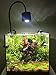 Lominie LED Aquarium Light, Freshwater Planted Tank Light Asta 120 Clamp Clip Lamp for Refugium Algae Fish Tank 24inch with Gooseneckthumb 2