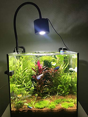 2 Lominie+Aquarium+Freshwater+Refugium+Gooseneck