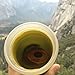 GRAYL Ultralight Water Purifier [+ FILTER] BOTTLE (Green)