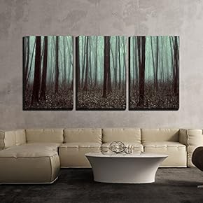 Beautiful Forest with Fog Beauty Nature Background x3 Panels