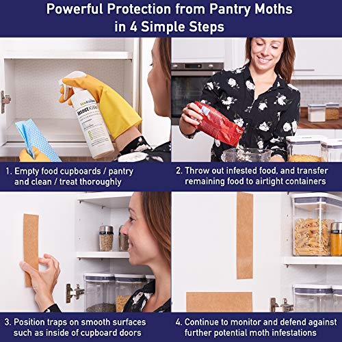 MothPrevention Pantry Moth Killer KIT Natural Pantry Moth Traps