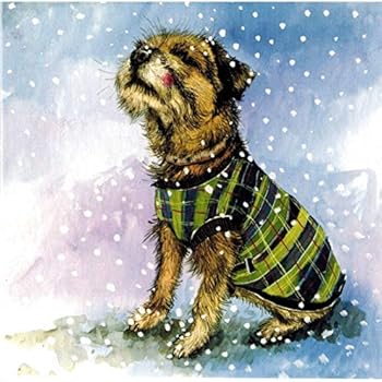 Border terrier christmas cards