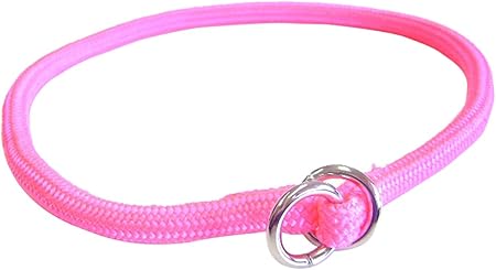nylon dog choke collar