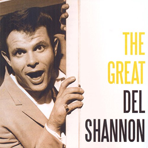 DEL SHANNON - Vogelsoft piraten hits 41 - Zortam Music