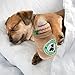 Haute Diggity Dog Starbarks Frappawcino, Plush Designer Dog Toys with Interactive Squeaker, Stimulating Pet Enrichment, Machine-Washable & Safe Materials for All Breeds, Size Small