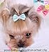Special!Mini Bows of Ribbon for Crafts & Ribbon for Gift Wrapping.Gift Bows for Gift Wrapping,Wedding Gift Bag Goodie Bags Decor,Party Favor.40pc1.5