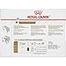 Royal Canin Breed Health Nutrition Dachshund Loaf in Gravy Pouch Dog Food, 3 oz Pouch (Pack of 12), 723085