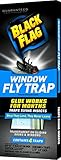 4 Pk, Black Flag Window Fly Trap