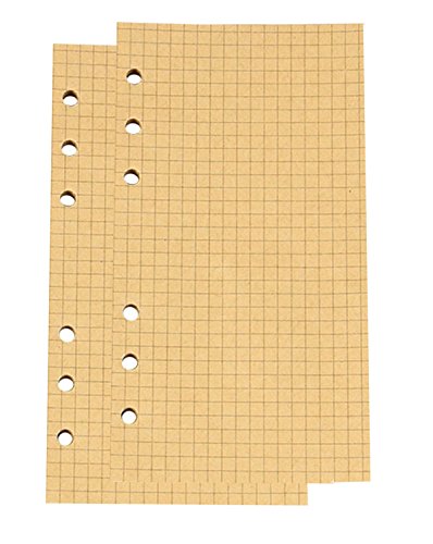 RIANCY A6 Refill Lined Paper 6 Hole Lined Kraft Paper for Loose Leaf Binder Notebook Leather Journal Refills Diary Set of 2 40 Sheets/80 Pages Per Item (Grid,2 Pack)