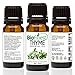 BioFinest Thyme Oil - 100% Pure Thyme Essential Oil - Premium Organic - Therapeutic Grade - Aromatherapy - Boost Memory - Balance Hormone - FREE E-Book (10ml)