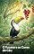 Livro O Tucano e as Cores do Céu: Uma história entre animais e amigos (Animais do Brasil)