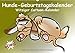Hunde-Geburtstagskalender / Witziger Cartoon-Kalender (Wandkalender immerwährend DIN A2 quer)