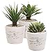 4 inch Rustic White Ceramic French Parisian Postcard Tabletop Succulent/Herb Planter Pots (Set of 3)
