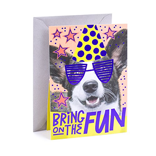 Hallmark Birthday Greeting Card (Birthday Dog)