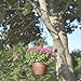 Hanging Chain, 35 Inch, Black, For Bird Feeders, Planters, Fixtures, Lanterns, Suet Baskets, Wind Chimes and More! Outdoor / Indoor Use…