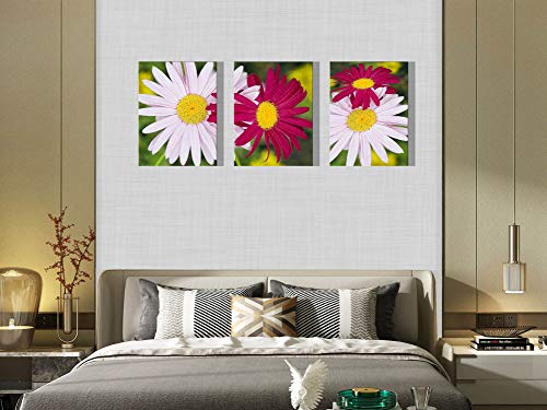 White and Red Daisies Canvas Print for Living Room Chrysanthemum Wall Art Decor Painting Pictures Artwork (12x16inch x3pcs)