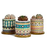 Greenaholics Succulent Plant Pots - 3 Inch Cylinder Bohemian Ceramic Planter for Cactus, Succulent Planting, with Drainage Hole, Bamboo Trays, Set of 3