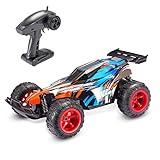 Theefun 1:22 2.4 GHz High Speed Racing car Off-Road Trucks Electric Vehicle Buggy
