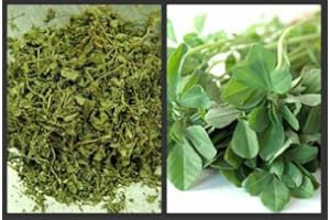 100g | DRIED FENUGREEK LEAVES DRY FENUGREEK LEAF METHI KASTO...