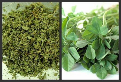 100g Dried Fenugreek Leaves Free Uk Post Dry Fenugreek Leaf Methi Kasto Buy Online In France At Desertcart Fr Productid 52414035