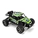 TOYEN TN657 RC Car 1/18 2.4G Rock Off-Road Vehicle Fast Racing Cars Cars 4WD Topspeed Drifting Car (green)