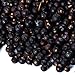 Yamees Juniper Berries – 20 Oz. (10 oz. each) - Juniper Berries for Cooking – Whole Juniper Berries - Bulk Spices - Juniperus Communis